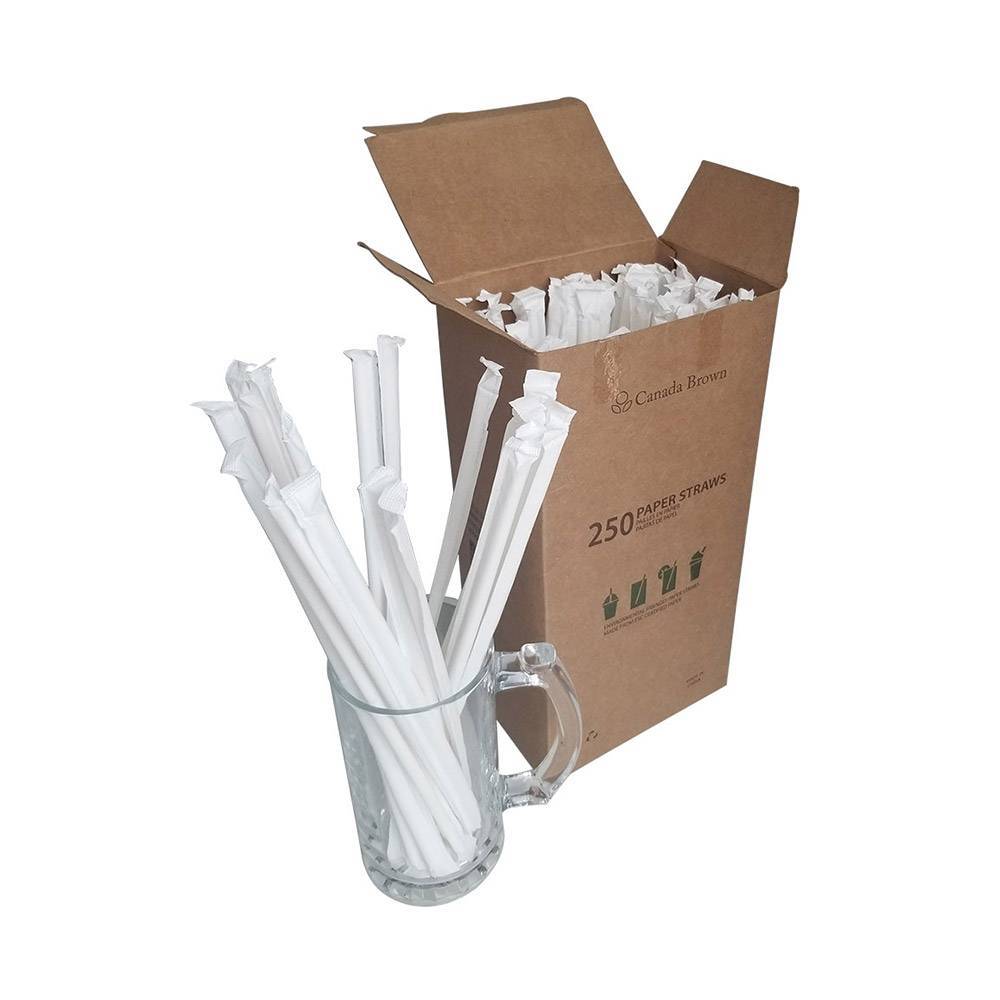 10.23” Length 6mm Diameter White Individually Wrapped Paper Straws (3000/CS)