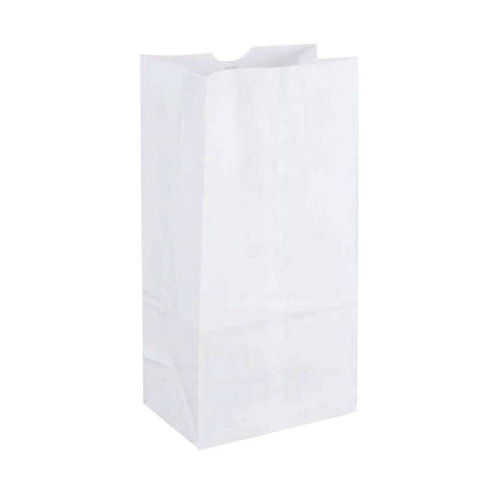 51040 PAPER BASE 40 GROCERY BAG (500/CS)