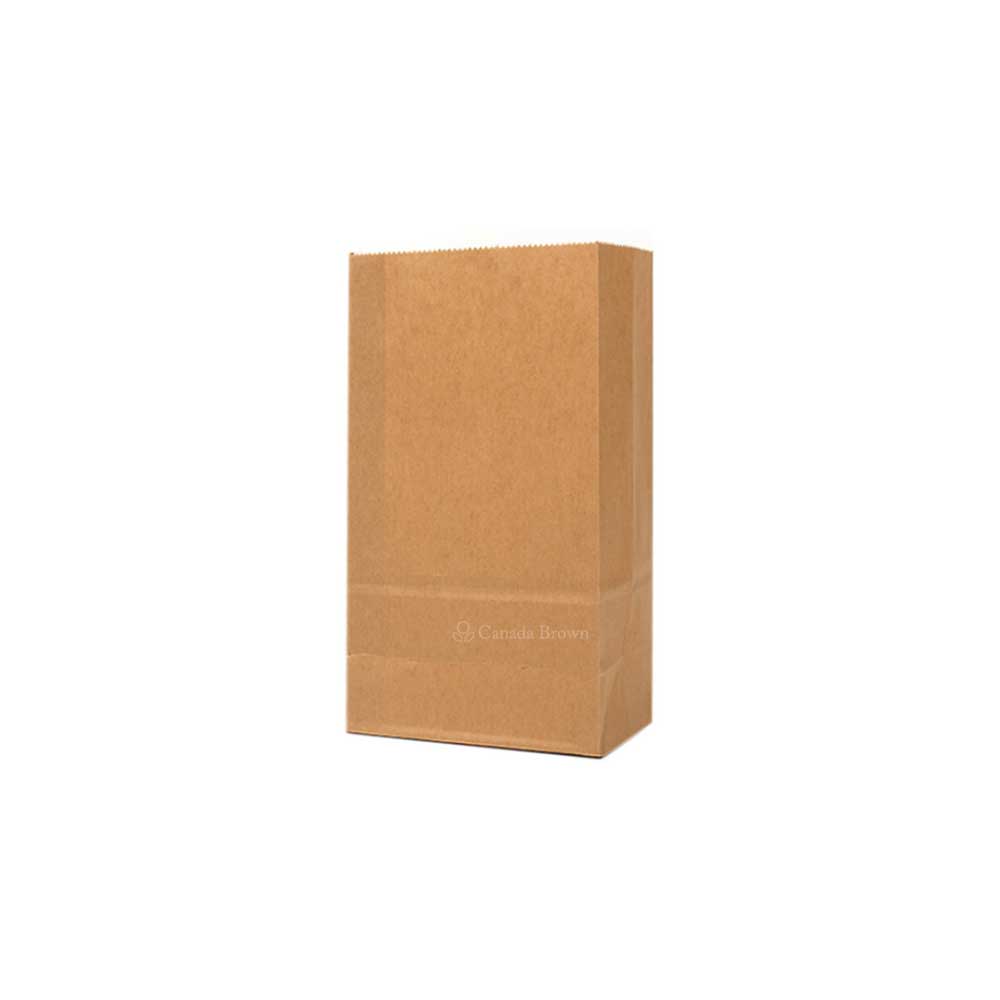 4LB Grocery 5" x 3.125" x 9.75" Kraft SOS Paper Bags 500/Case