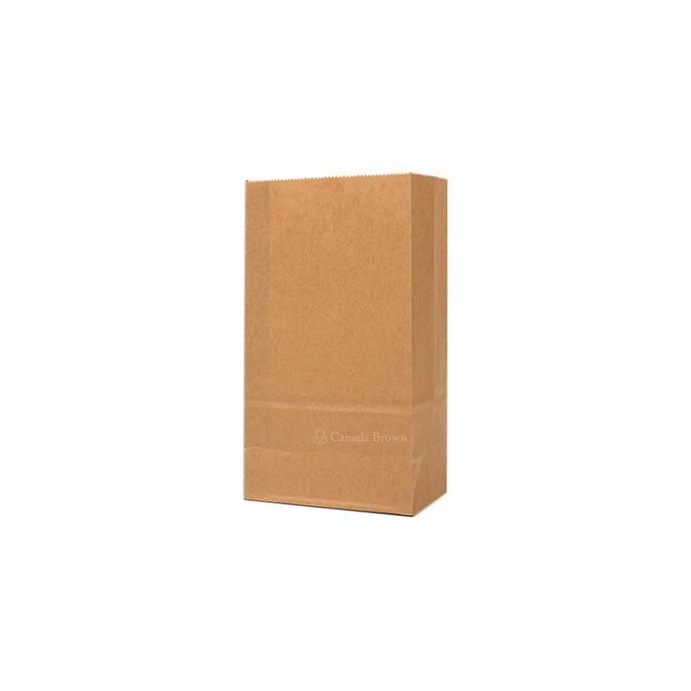 2LB 4.3125 x 2.4375 x 7.875 Kraft Paper Grocery Bags (500/Case)