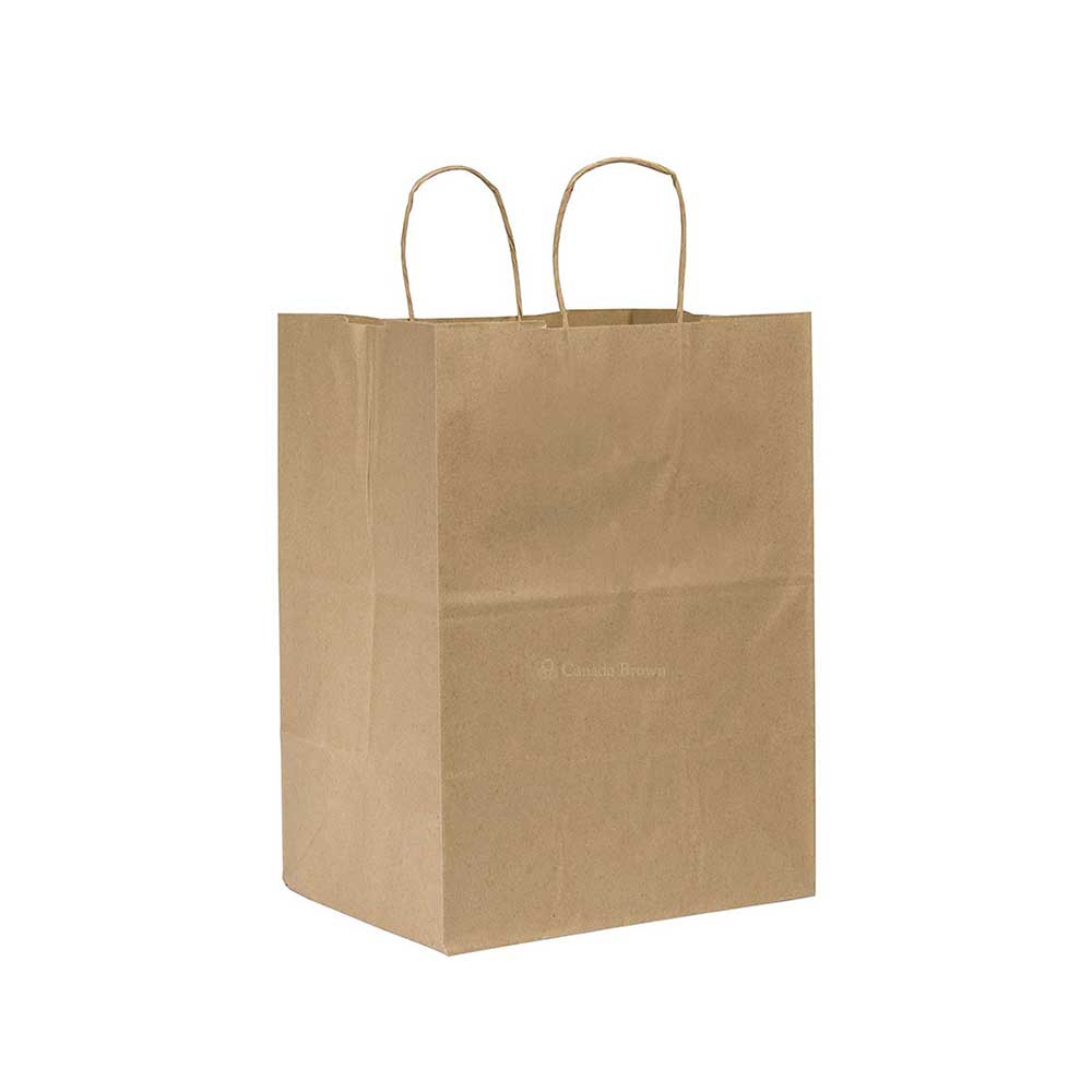 10" x 10" x 10" Kraft Twisted Handle Paper Bags 250/Case