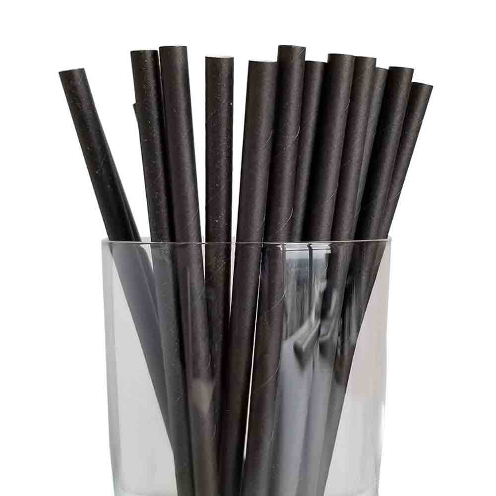 7.75” Length 6mm Diameter Regular Black Paper Straws (5000/CS)