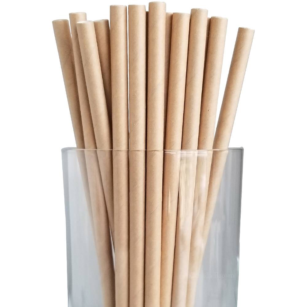 7.75” Length 6mm Diameter Regular Kraft Paper Straws ( 5000/CS)