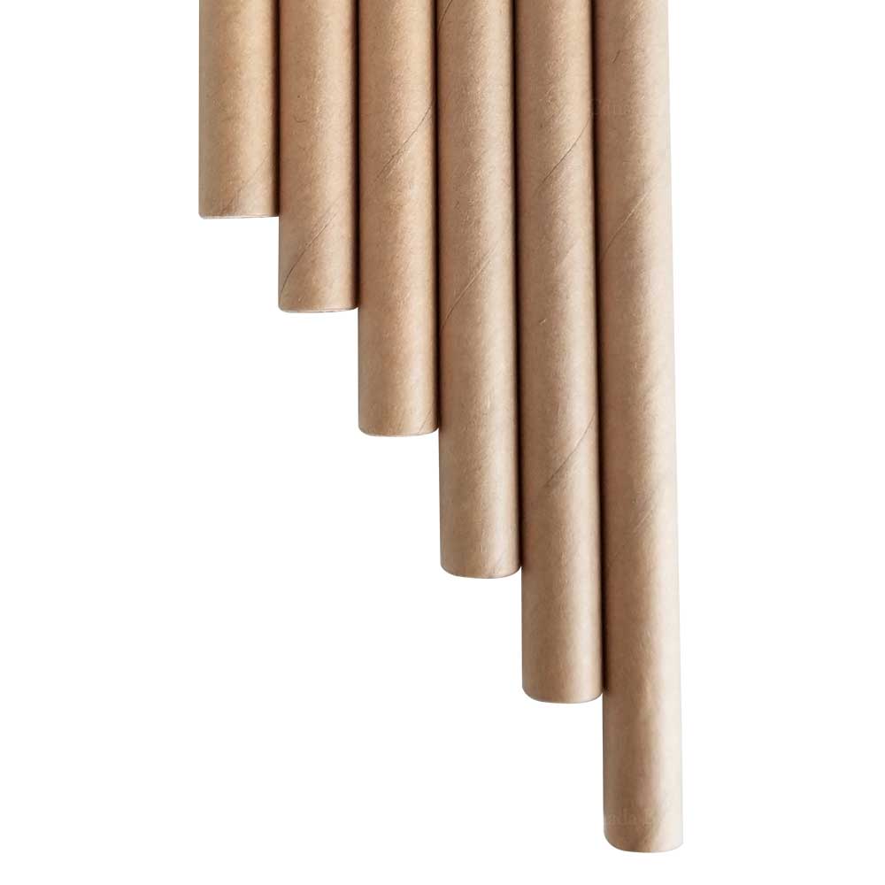 7.75” Length 6mm Diameter Regular Kraft Paper Straws ( 5000/CS)