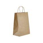 9" X 6" X 13" Twisted Handle Paper Bags  (250/CS)