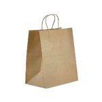 10" X 5" X 13" Kraft Twisted Handle Paper Bags (250/CS)