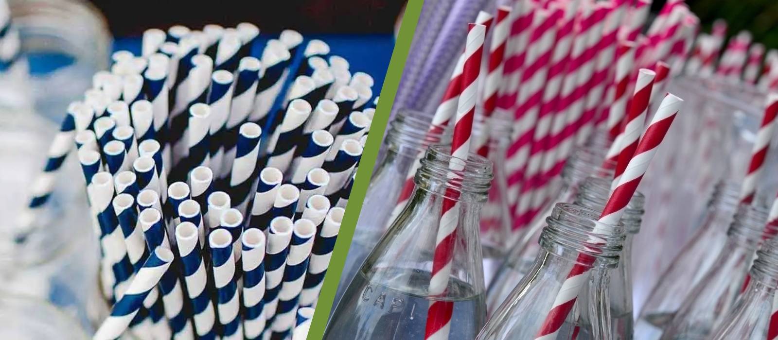 Paper Straws