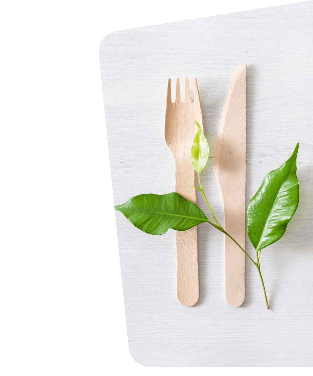 Why Eco Friendly Cutlery?