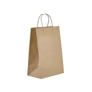 9″ x 6″ x 16.75″ Kraft Twisted Handle Paper Bags 250/Case